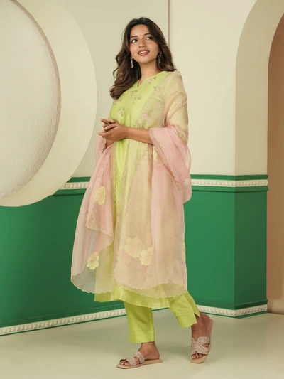 Applique Organza Duppatta